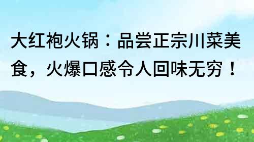 大紅袍火鍋：品嘗正宗川菜美食，火爆口感令人回味無窮！