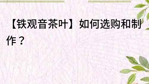 【鐵觀音茶葉】如何選購和制作？