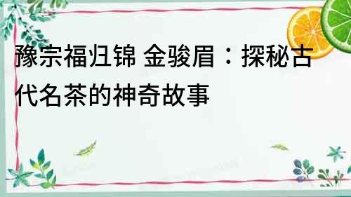 豫宗福歸錦 金駿眉：探秘古代名茶的神奇故事