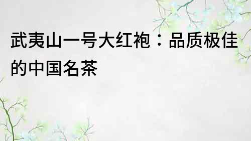武夷山一號(hào)大紅袍：品質(zhì)極佳的中國名茶