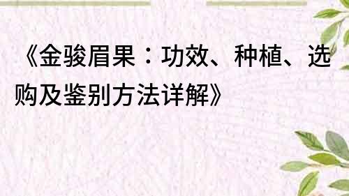 《金駿眉果：功效、種植、選購及鑒別方法詳解》