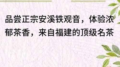 品嘗正宗安溪鐵觀音，體驗濃郁茶香，來自福建的頂級名茶