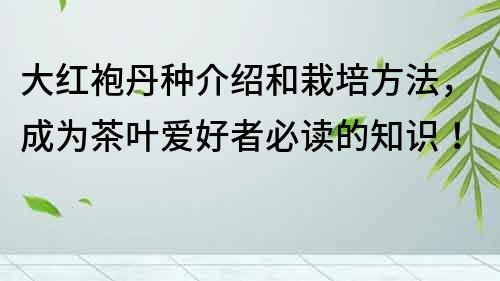 大紅袍丹種介紹和栽培方法，成為茶葉愛好者必讀的知識！
