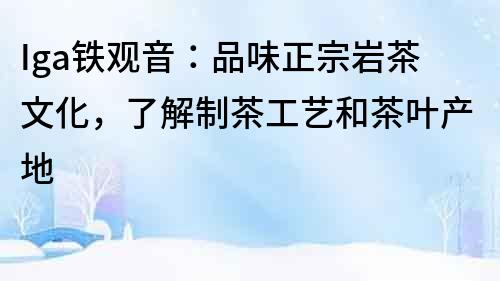 Iga鐵觀音：品味正宗巖茶文化，了解制茶工藝和茶葉產(chǎn)地