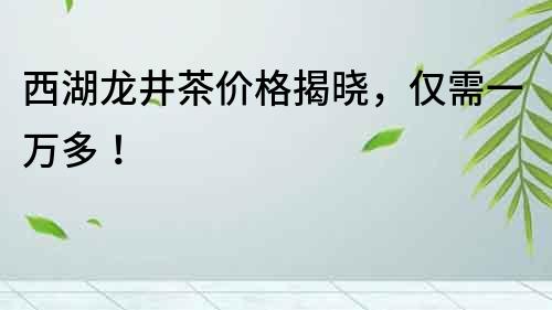 西湖龍井茶價格揭曉，僅需一萬多！