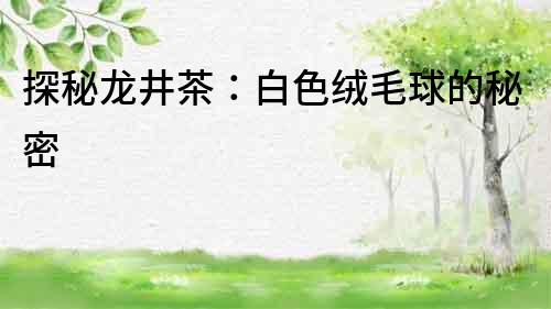 探秘龍井茶：白色絨毛球的秘密