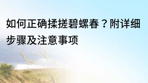 如何正確揉搓碧螺春？附詳細步驟及注意事項