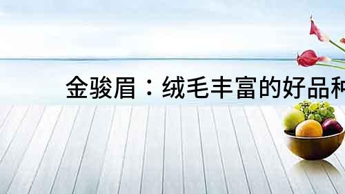 金駿眉：絨毛豐富的好品種