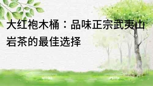 大紅袍木桶：品味正宗武夷山巖茶的最佳選擇