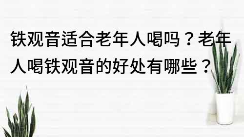 鐵觀音適合老年人喝嗎？老年人喝鐵觀音的好處有哪些？