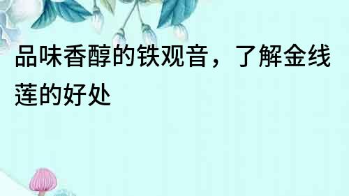 品味香醇的鐵觀音，了解金線蓮的好處