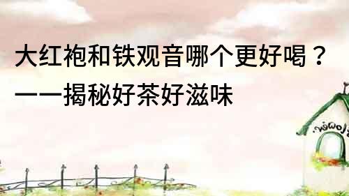 大紅袍和鐵觀音哪個更好喝？一一揭秘好茶好滋味