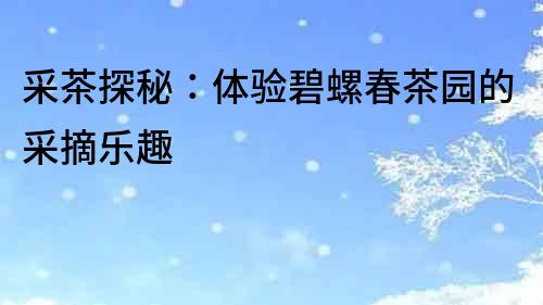 采茶探秘：體驗碧螺春茶園的采摘樂趣