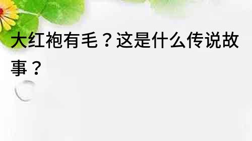 大紅袍有毛？這是什么傳說故事？