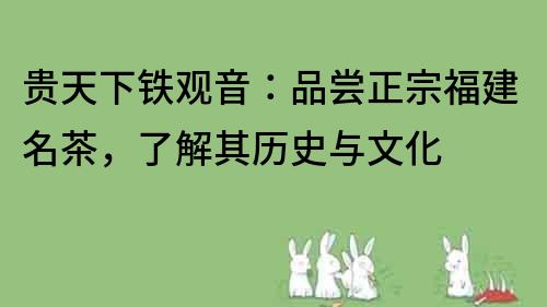 貴天下鐵觀音：品嘗正宗福建名茶，了解其歷史與文化