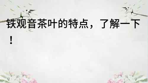 鐵觀音茶葉的特點，了解一下！