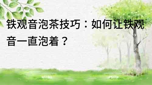 鐵觀音泡茶技巧：如何讓鐵觀音一直泡著？