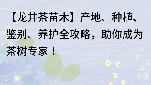【龍井茶苗木】產地、種植、鑒別、養護全攻略，助你成為茶樹專家！