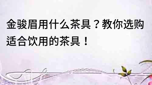 金駿眉用什么茶具？教你選購(gòu)適合飲用的茶具！