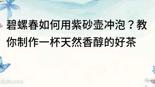 碧螺春如何用紫砂壺沖泡？教你制作一杯天然香醇的好茶