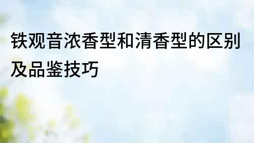 鐵觀音濃香型和清香型的區別及品鑒技巧