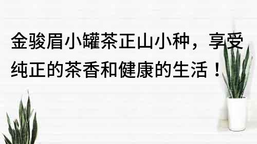 金駿眉小罐茶正山小種，享受純正的茶香和健康的生活！