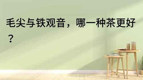 毛尖與鐵觀音，哪一種茶更好？