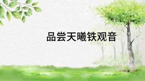 品嘗天曦鐵觀音