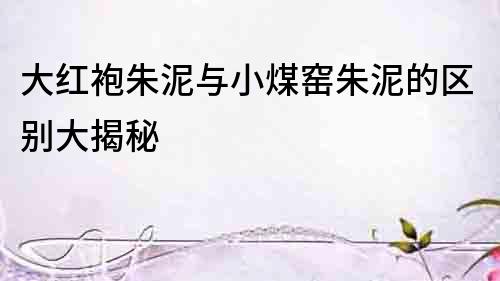 大紅袍朱泥與小煤窯朱泥的區別大揭秘