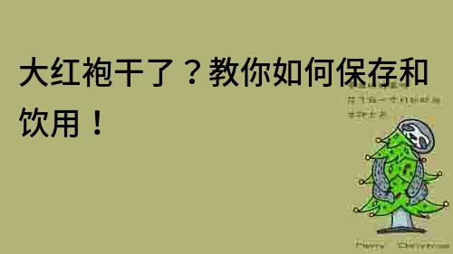 大紅袍干了？教你如何保存和飲用！