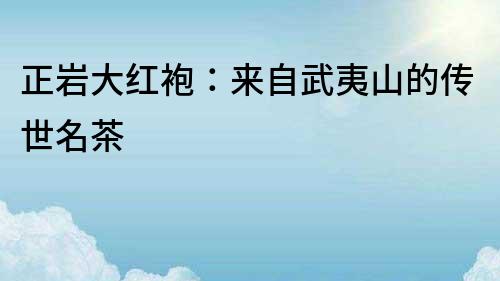 正巖大紅袍：來(lái)自武夷山的傳世名茶