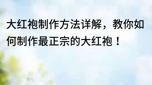 大紅袍制作方法詳解，教你如何制作最正宗的大紅袍！
