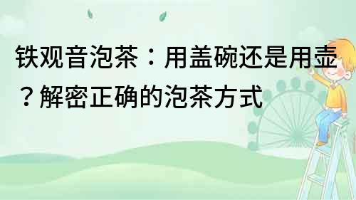 鐵觀音泡茶：用蓋碗還是用壺？解密正確的泡茶方式