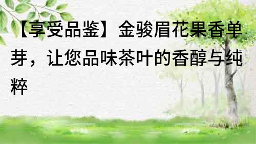 【享受品鑒】金駿眉花果香單芽，讓您品味茶葉的香醇與純粹
