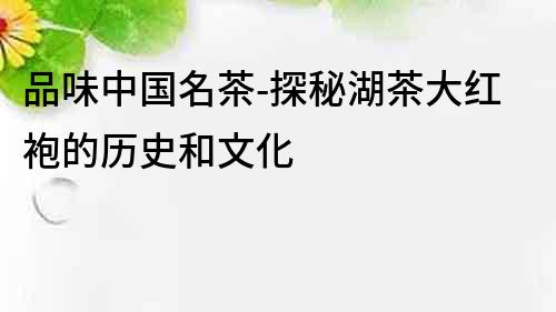 品味中國名茶-探秘湖茶大紅袍的歷史和文化