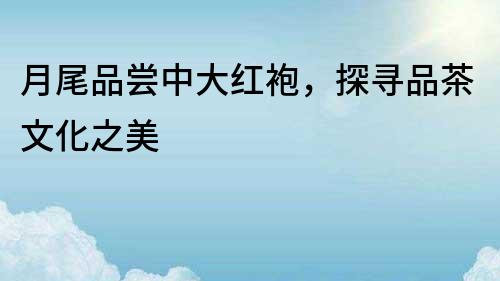 月尾品嘗中大紅袍，探尋品茶文化之美