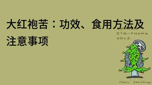 大紅袍苦：功效、食用方法及注意事項