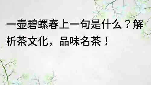 一壺碧螺春上一句是什么？解析茶文化，品味名茶！