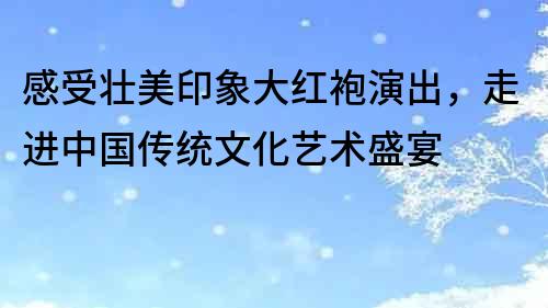 感受壯美印象大紅袍演出，走進中國傳統文化藝術盛宴