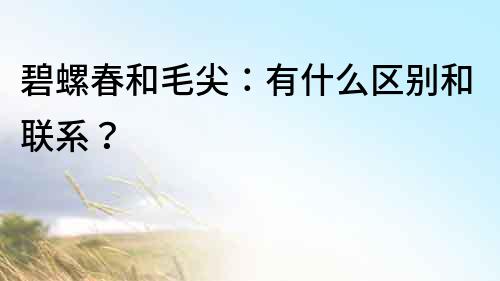 碧螺春和毛尖：有什么區別和聯系？