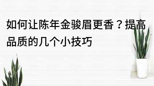 如何讓陳年金駿眉更香？提高品質的幾個小技巧