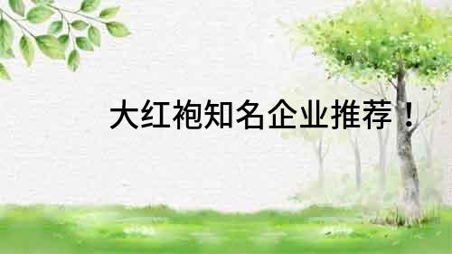 大紅袍知名企業(yè)推薦！