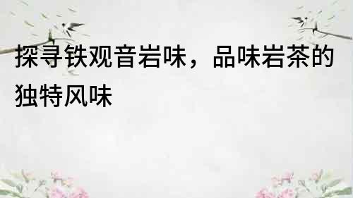 探尋鐵觀音巖味，品味巖茶的獨特風味