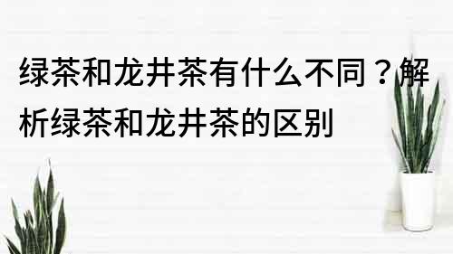 綠茶和龍井茶有什么不同？解析綠茶和龍井茶的區(qū)別