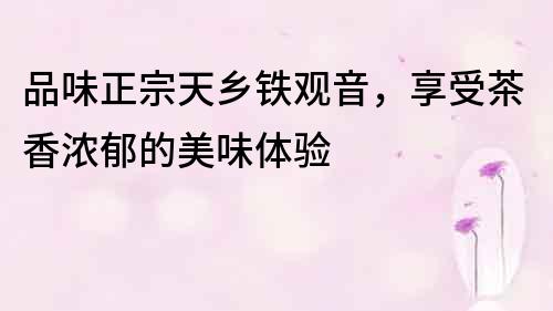 品味正宗天鄉(xiāng)鐵觀音，享受茶香濃郁的美味體驗(yàn)