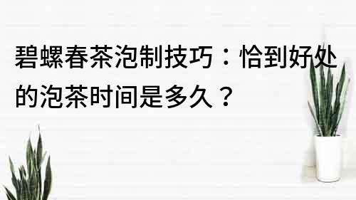 碧螺春茶泡制技巧：恰到好處的泡茶時間是多久？