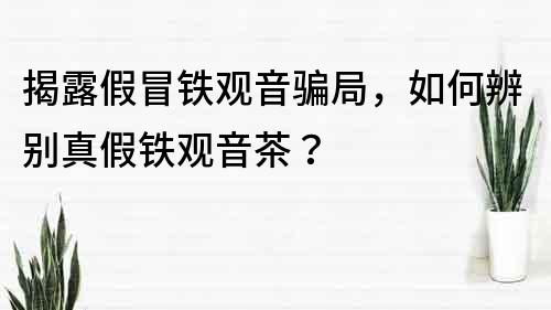 揭露假冒鐵觀音騙局，如何辨別真假鐵觀音茶？