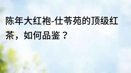陳年大紅袍-仕苓苑的頂級紅茶，如何品鑒？