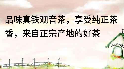 品味真鐵觀音茶，享受純正茶香，來自正宗產地的好茶