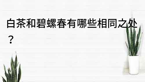 白茶和碧螺春有哪些相同之處？
